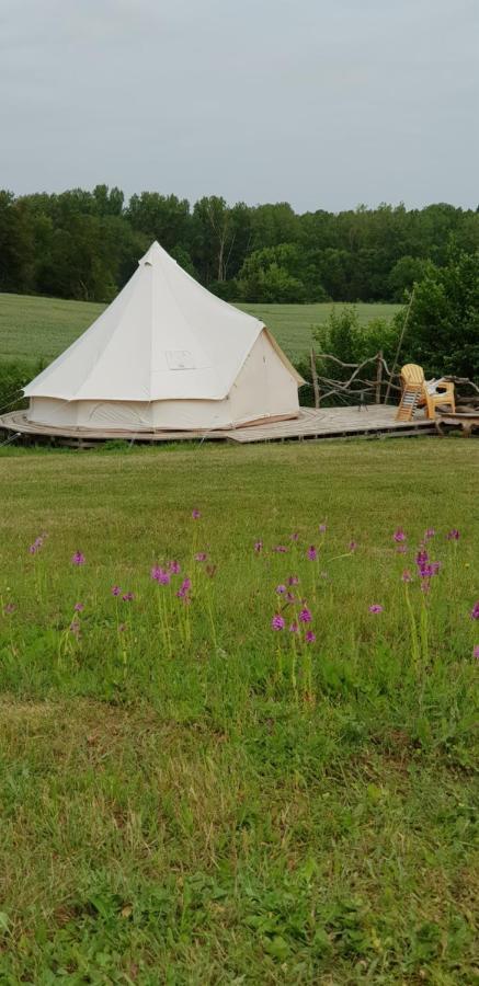 Curzay-sur-Vonne Camping La Petite Houmee מראה חיצוני תמונה